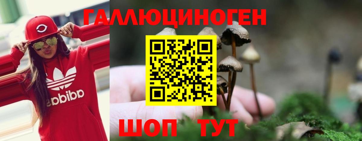 Псилоцибиновые грибы прущие грибы  Вход с VPN  Галлюциногенные грибы прущие грибы  Дербент 